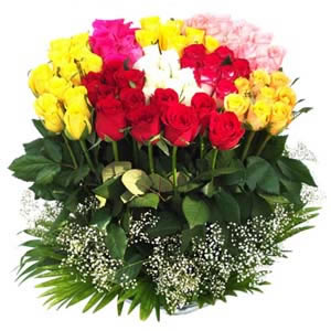 Flowers to Delhi : Mixed Roses to Delhi : Mixed Flowers to Delhi